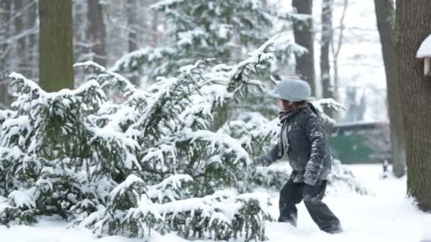 Glada lilla barnet, pojke, spela utomhus i en snöig park, vintern — Stockvideo
