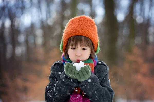 Boldog kis gyermek, fiú, játék a szabadban, a havas park — Stock Fotó