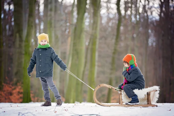 Zwei glückliche kleine Kinder, Jungen, die draußen im verschneiten Park spielen — Stockfoto