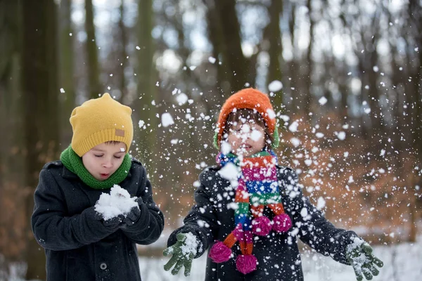 Açık havada karlı bir parkta oynayan mutlu küçük çocuk, çocuk, — Stok fotoğraf