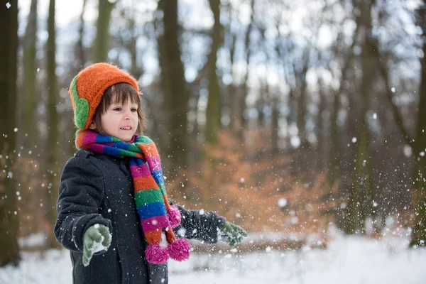 Boldog kis gyermek, fiú, játék a szabadban, a havas park — Stock Fotó