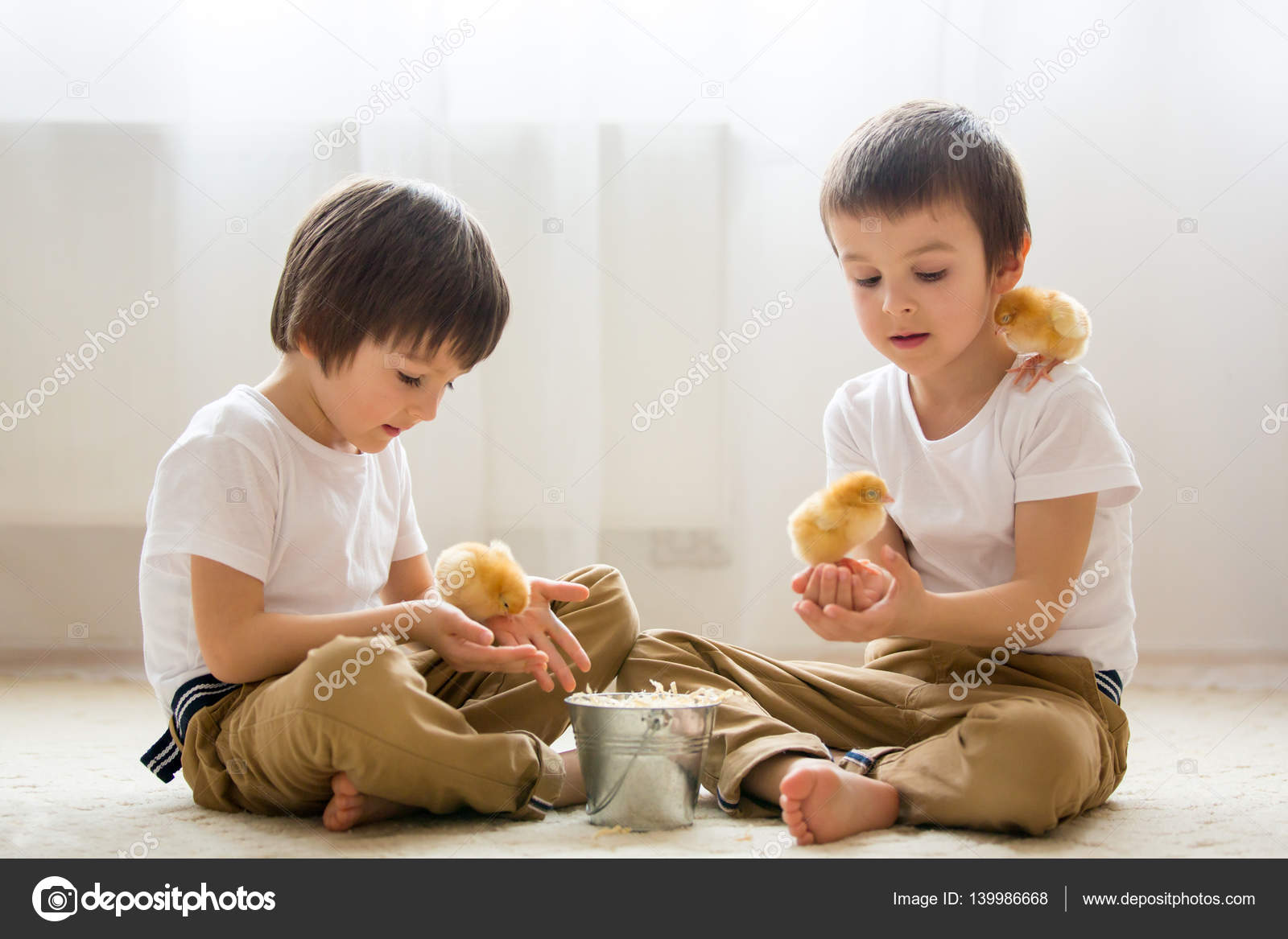 Two sweet little children, preschool boys, brothers, playing wit Stock ...