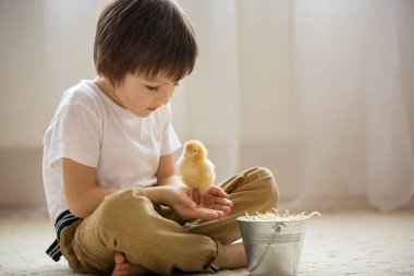 Küçük chic ile oynayan sevimli tatlı küçük çocuk, okul öncesi çocuk,