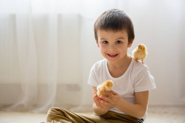 Küçük chic ile oynayan sevimli tatlı küçük çocuk, okul öncesi çocuk,