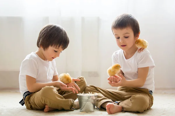 İki tatlı küçük çocuklar, okul öncesi çocuklar, zekâ oynayan kardeşler, — Stok fotoğraf