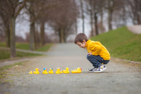 Adorable child, boy, playing in park with rubber ducks, having f — Stock Photo, Image