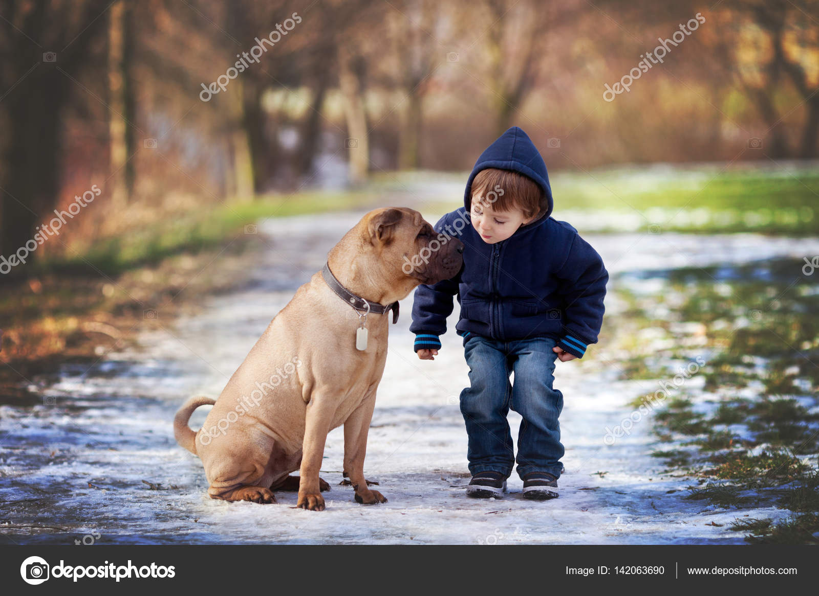 How Do Dogs Give Kisses