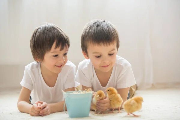 两个甜美的小孩，学龄前的孩子，玩机智的兄弟 — 图库照片