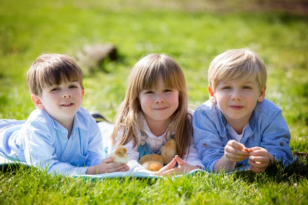 Three preschool kids, siblings, playing in the park with little — Stock Photo, Image