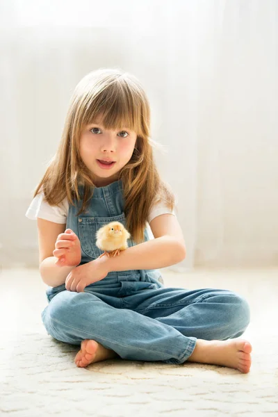 Jeune belle fille, jouer avec petit nouveau-né poussin à la maison — Photo