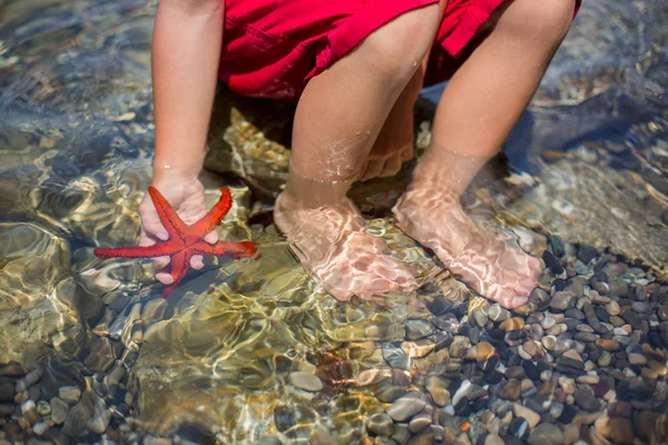 Jeune enfant, tenant des étoiles de mer rouges dans ses mains sur la plage — Photo