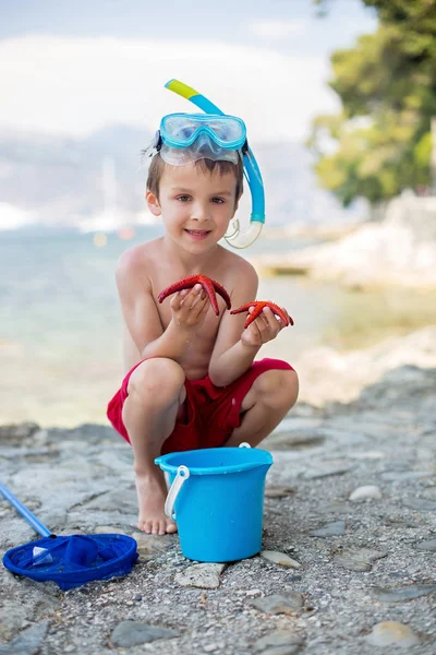 Pequeño niño sosteniendo rojo cinco estrellas de mar punto y cubo en su han — Foto de Stock