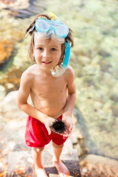 Lindo niño, sosteniendo erizo de mar en la playa — Foto de Stock