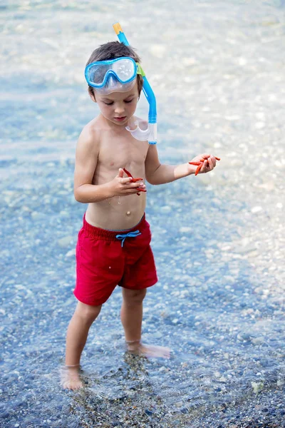 Niño pequeño sosteniendo rojo cinco estrellas de mar punto y la red en sus manos — Foto de Stock