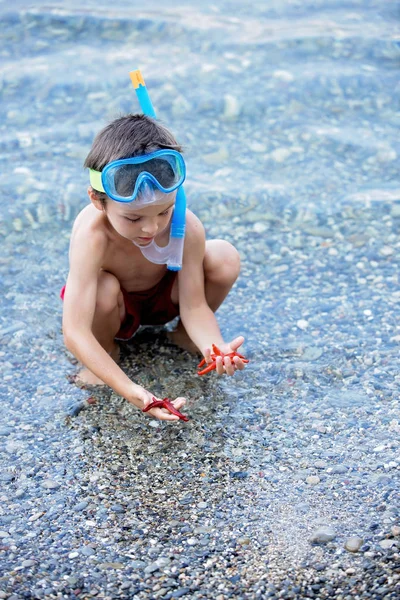 Petit garçon tenant dans ses mains une étoile de mer rouge à cinq pointes et un filet — Photo