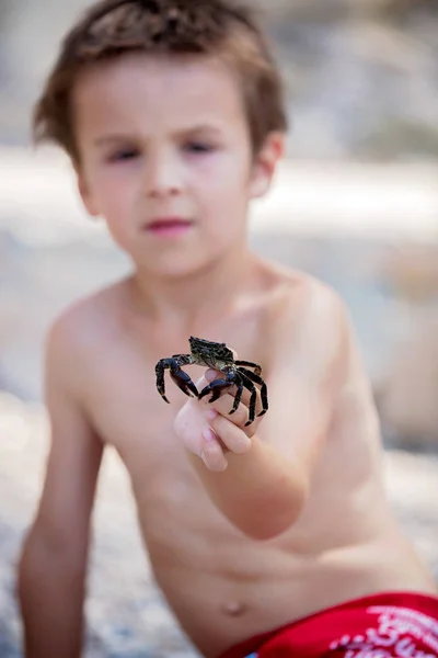 Garçon mignon, jouer avec petit crabe sur la plage — Photo