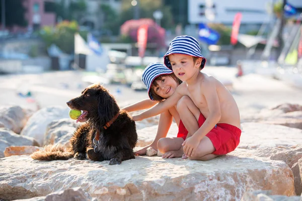 Two sweet children, boys, playing with dog on the beach — Stock Photo, Image