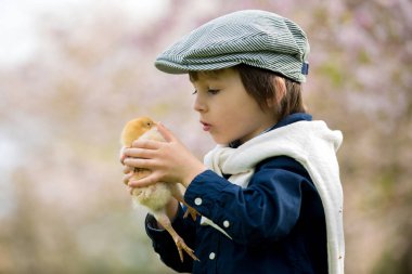 Küçük kızlarla oynayan sevimli sevimli okul öncesi çocuk, çocuk, 