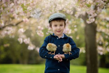 Küçük kızlarla oynayan sevimli sevimli okul öncesi çocuk, çocuk, 