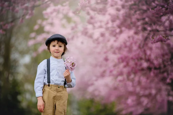 Krásný předškolní chlapce, stojící v gard třešňový květ — Stock fotografie