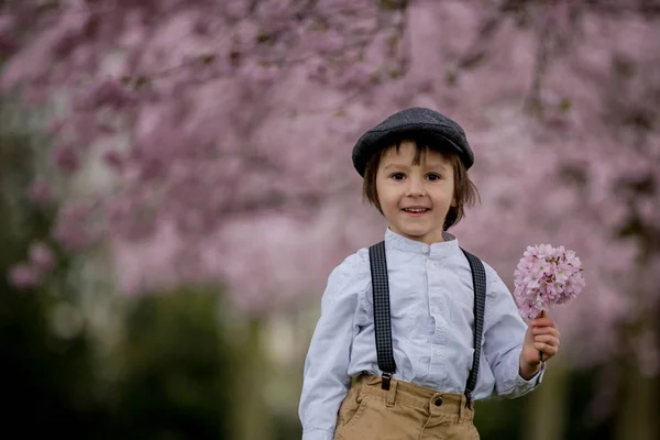 Hermoso niño preescolar joven, de pie en una flor de cerezo gard —  Fotos de Stock