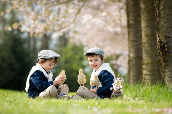 Due adorabili bambini in età prescolare, fratelli maschi, che giocano con la cucciolata — Foto Stock