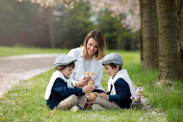 Młoda matka i jej dwoje dzieci, chłopcy, grając z little bab — Zdjęcie stockowe