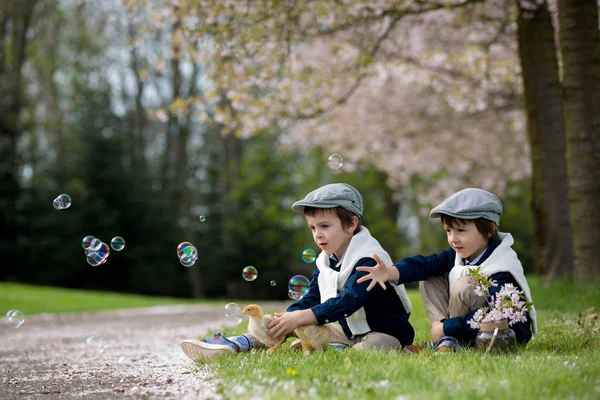 Двое очаровательных детей дошкольного возраста, мальчики-братья, играют с малышом — стоковое фото