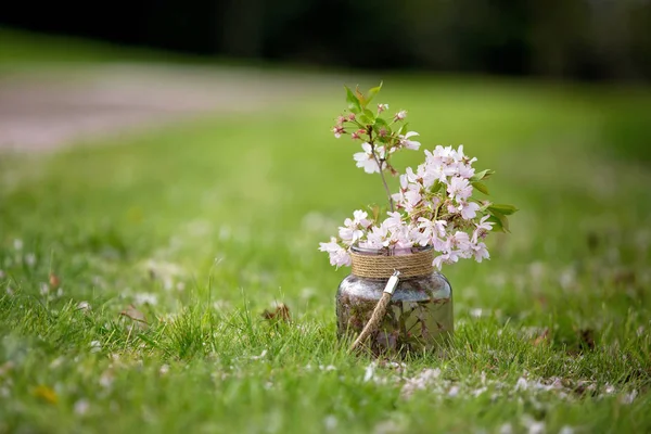 Το όμορφο βάζο με λουλούδια ροζ και λίγο νεοσσούς σε ένα πράσινο νόμο — Φωτογραφία Αρχείου