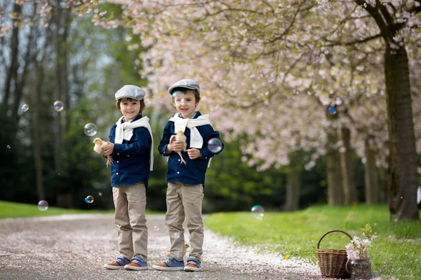 Two adorable preschool children, boy brothers, playing with litt — Stock Photo, Image