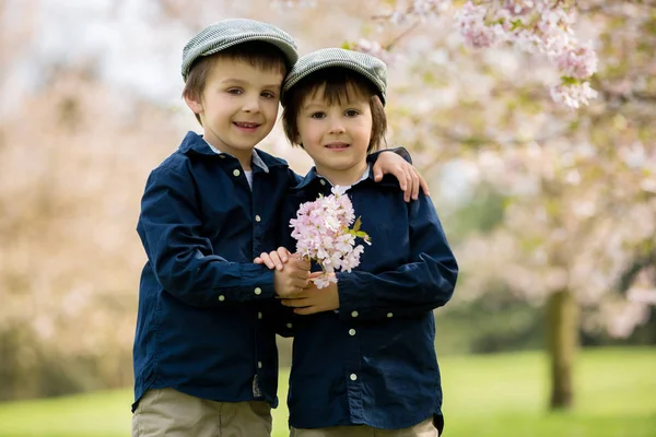 Dvě rozkošné předškolní děti, chlapec bratři, hrál s Littem. — Stock fotografie