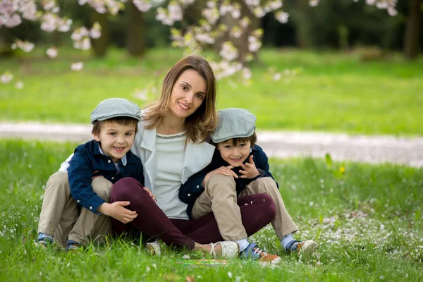 Matka z dwójką dzieci, chłopcy, czytanie książki w cherry bloss — Zdjęcie stockowe