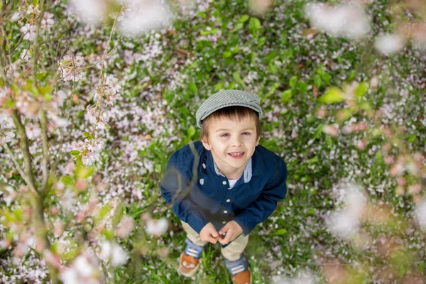 Hermoso retrato de un niño preescolar joven sosteniendo la flor —  Fotos de Stock