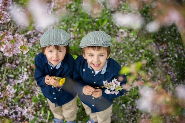 Beautiful portrait of a young preschool children holding flowers — Stock Photo, Image