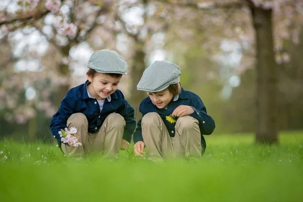 两个可爱的男孩，在春天盛开公园看书 — 图库照片