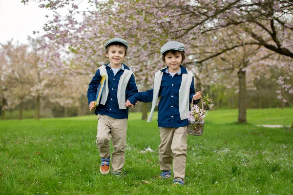Due bambini carini, fratelli maschi, che camminano in un fiore di ciliegio primaverile — Foto Stock