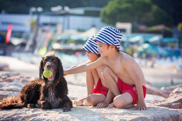 Two sweet children, boys, playing with dog on the beach — Stock Photo, Image