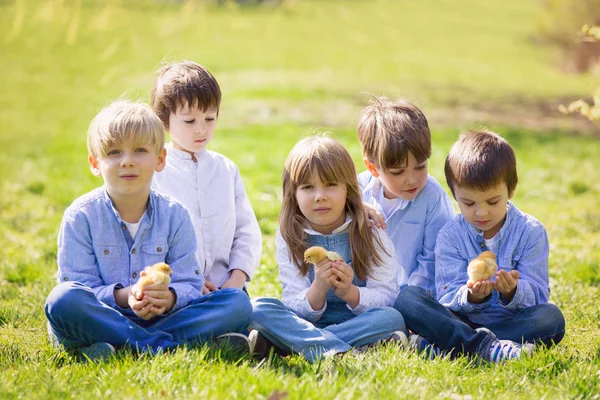 Grupo de niños preescolares, amigos y hermanos, jugando en el pa —  Fotos de Stock