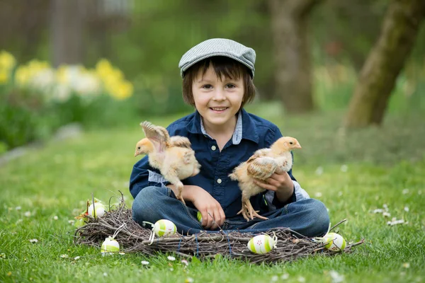 Paskalya yumurtaları ve c ile oynayan sevimli küçük okul öncesi çocuk, çocuk, — Stok fotoğraf