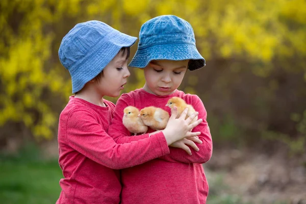 Aranyos édes gyermekeim, óvodai fiúk, kis játék — Stock Fotó