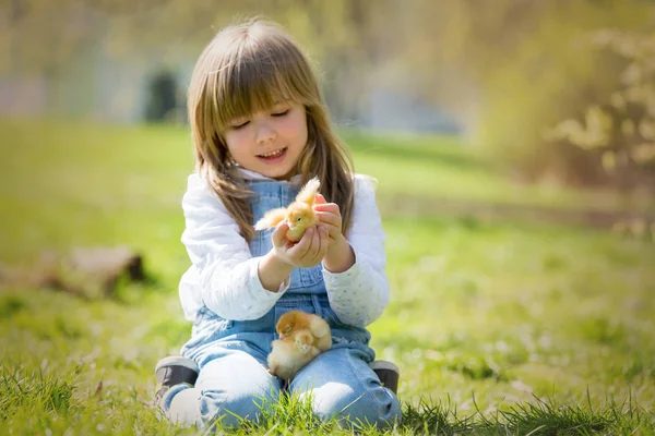 Молодая красивая девушка, играющая с маленьким новорожденным цыпленком в p — стоковое фото