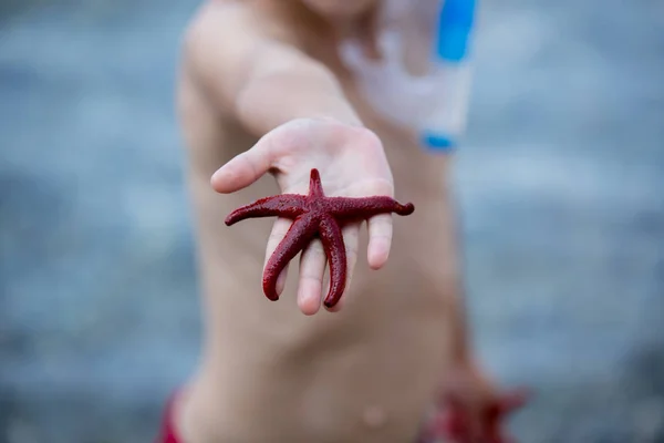 Mignon enfant, tenant étoile de mer rouge sur la plage — Photo