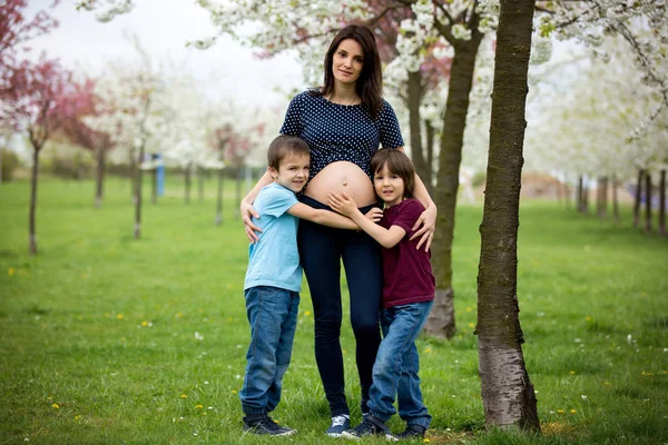 Mulher grávida e seus dois filhos em um parque florescendo primavera — Fotografia de Stock