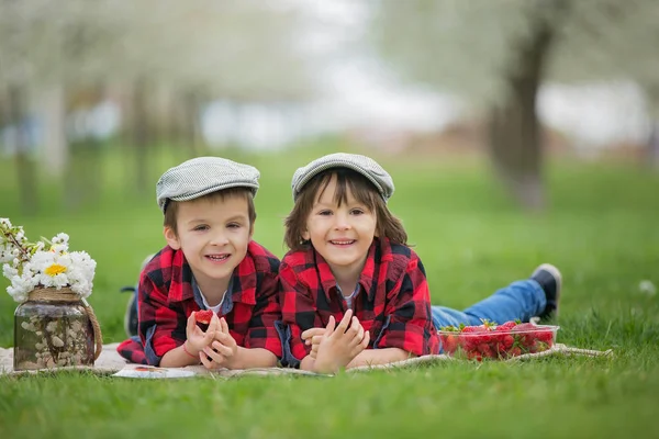 Duas crianças, irmãos meninos, lendo um livro e comendo strawberri — Fotografia de Stock