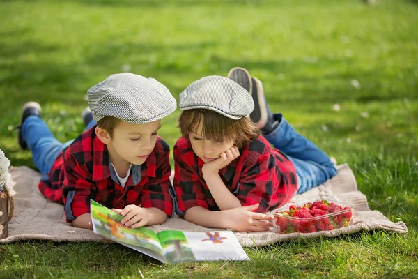 Two children, boy brothers, reading a book and eating strawberri — Stock Photo, Image