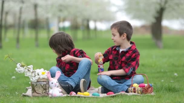 Zwei Kinder, junge Brüder, Schokohasen essen und sich im Park mit Ostereiern vergnügen, schöner frühlingshaft blühender Garten — Stockvideo