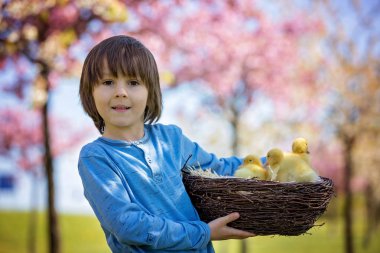 Ördek yavrusu ilkbahar, birlikte oynama ile şirin küçük çocuk