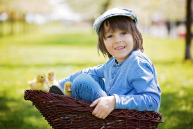 Ördek yavrusu ilkbahar, birlikte oynama ile şirin küçük çocuk