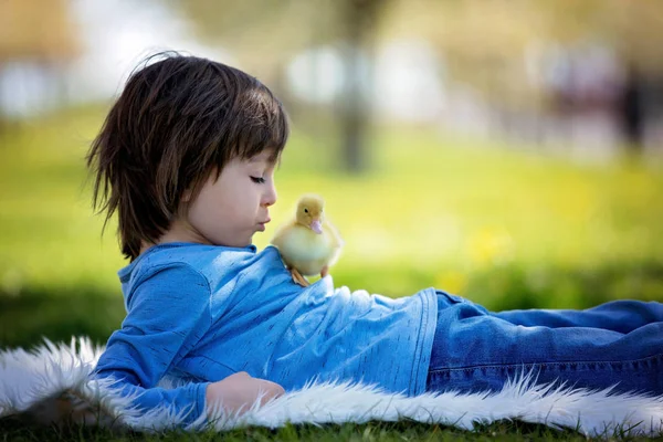 Милый маленький мальчик с утятами весна, играть вместе — стоковое фото