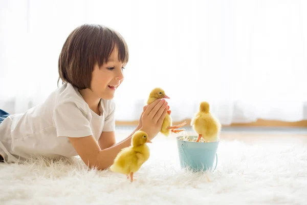 Menino bonito com primavera patinho, brincando juntos — Fotografia de Stock